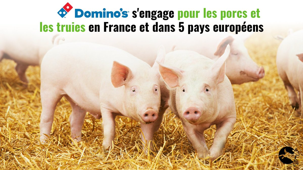 CIWF France tweet media