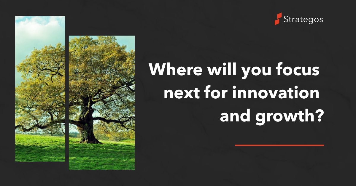 StrategosTeam's tweet photo. As an established player in your industry, you shift your attention to further developing the organization for future success. But where will you focus next? How will you compete in new markets and with new customers?

https://t.co/ciXBo9Ws53 https://t.co/E1Crq0jtsP