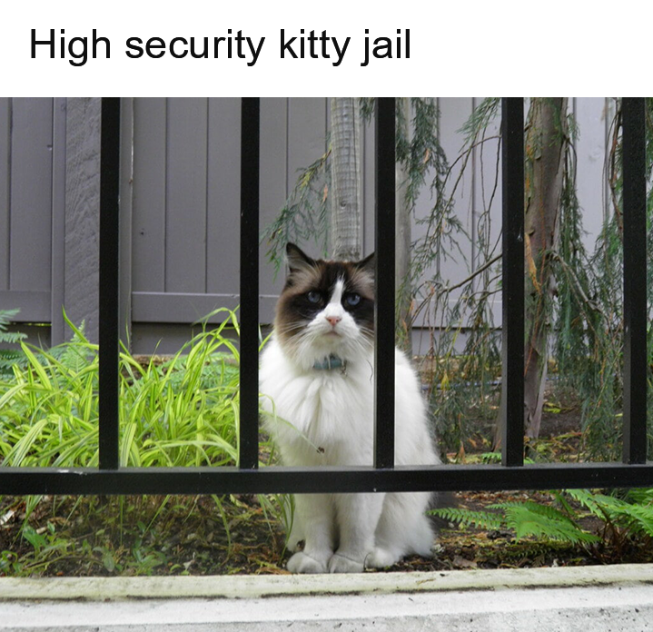 Litterbox tweet media