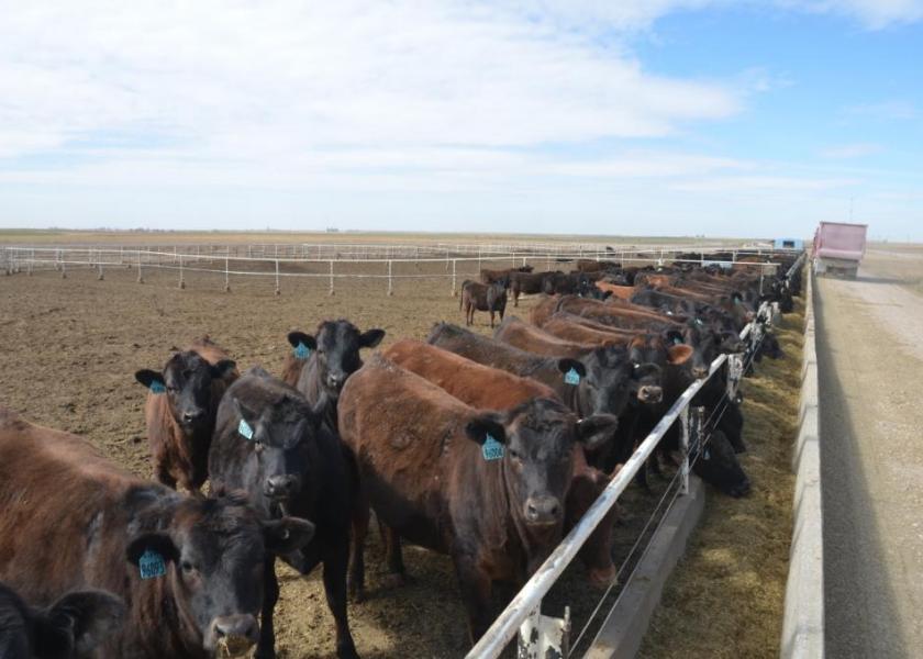 Dustin Hollermann will bring his expertise as the Director of Reproduction &amp; Genetics at <a href="/RiverviewLLP/">Riverview LLP</a> as he discusses their Breeding to Feeding program, in-house fertility testing and reveals insights from testing over 250 Limousin sires.  

Register now: bit.ly/3Nh6nvi