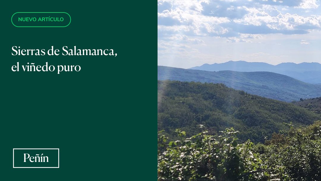👀¿Sabías que en España todavía existen rincones vitícolas que permanecen ajenos al paso del tiempo? Nos lo cuenta <a href="/JavierLuengoM/">Javier Luengo Macián</a> en su artículo de hoy:
guiapenin.wine/sierras-de-sal…
