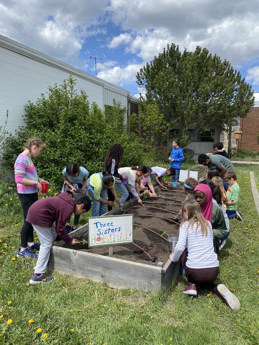 So excited to be planting squash in our school garden! ❤️🌱🌱 We are looking forward to watching our plants grow. Stay tuned!! <a href="/BelParkCBE/">Bel-Park School CBE</a>