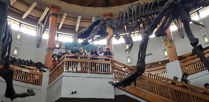 David MacLeod tweet media