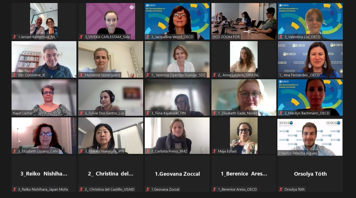 Insightful discussions with the <a href="/OECDdev/">OECD Development</a> Development Assistance Committee Community of Practice on #CivilSociety on supporting civil society in Ukraine &amp; advancing the Recommendation on enabling civil society, towards broadening adherence beyond the DAC👉oe.cd/DACrecs