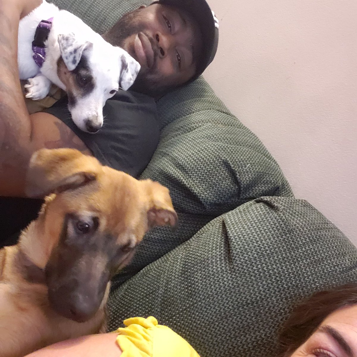 MomBrarian's tweet photo. @nyla_ssl the NYLA elections are open! Hope you'll all consider voting for me as the NY chapter councilor to #ALA! #ShamelessPuppyPics https://t.co/4YUdNQUXhX
