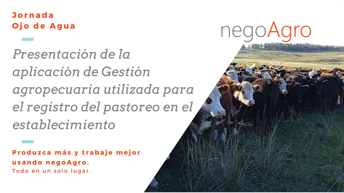 negoagro's tweet photo. Newsletter completa: https://t.co/u2MU1SnHac
#AgTechForAll #AgTech #AgriculturaDePrecisión #GanaderíaDePrecisión https://t.co/5J9QAN5aTH