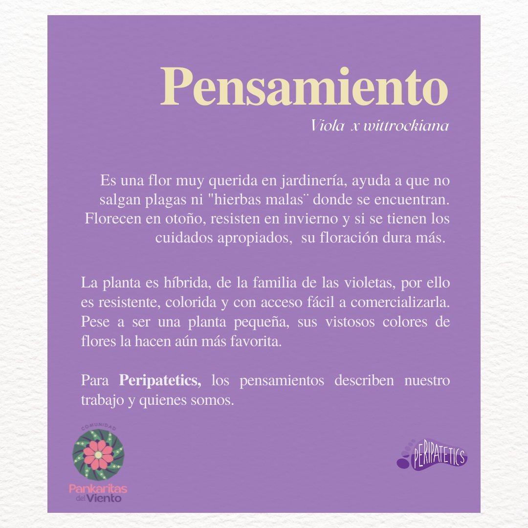 PeripateticsB's tweet photo. Desde que iniciamos el colectivo hace 5 años, nunca dejamos de soñar en grande. Con cada persona que fue parte de este sueño y con los logros que obtuvimos nos atrevimos a hacer un documental. https://t.co/vD7BCsEhcL