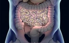 BtBsUNIMIB's tweet photo. #BtBsSeminars: Microbiota-derived metabolites in health and disease. Francesco Strati #BtBsUNIMIB, giovedì 9 giugno, 2022, ore 16:30, aula U3-04 / Webex. The gut microbiota is a master regulator of host physiology... #StratiLab_BtBs @UNIMIB https://t.co/nnYROkk4DK https://t.co/Z6yKPcRDLq