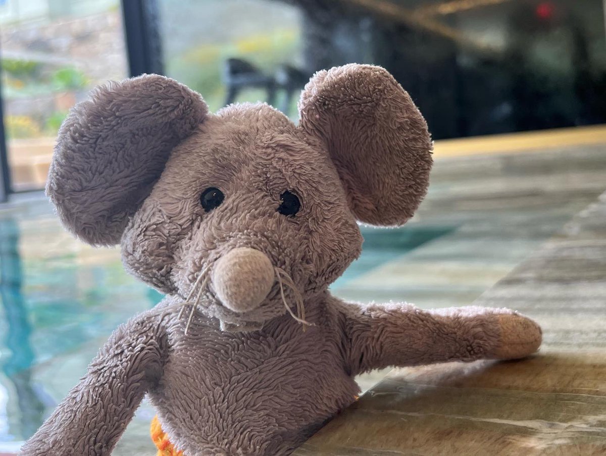 whiskersmouse's tweet photo. After a long day in the sun, where better to relax than in the hotel spa?
#vilafozhotel #vilafozhotelspa #vilafoz #spa #pool #chilling https://t.co/dImXaseegT