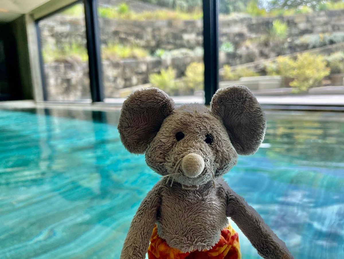 whiskersmouse's tweet photo. After a long day in the sun, where better to relax than in the hotel spa?
#vilafozhotel #vilafozhotelspa #vilafoz #spa #pool #chilling https://t.co/dImXaseegT