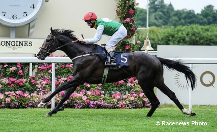 Daily Racing Form on Twitter: