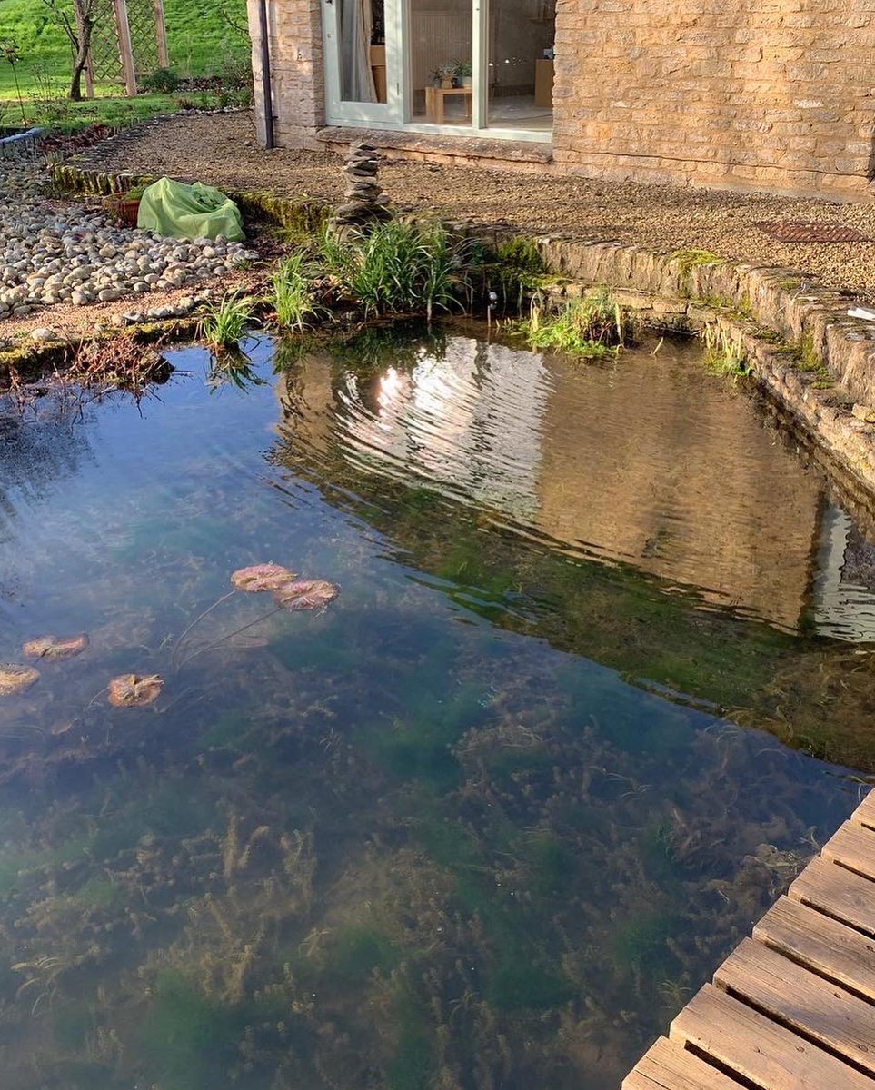 Flat Cap Projects tweet media