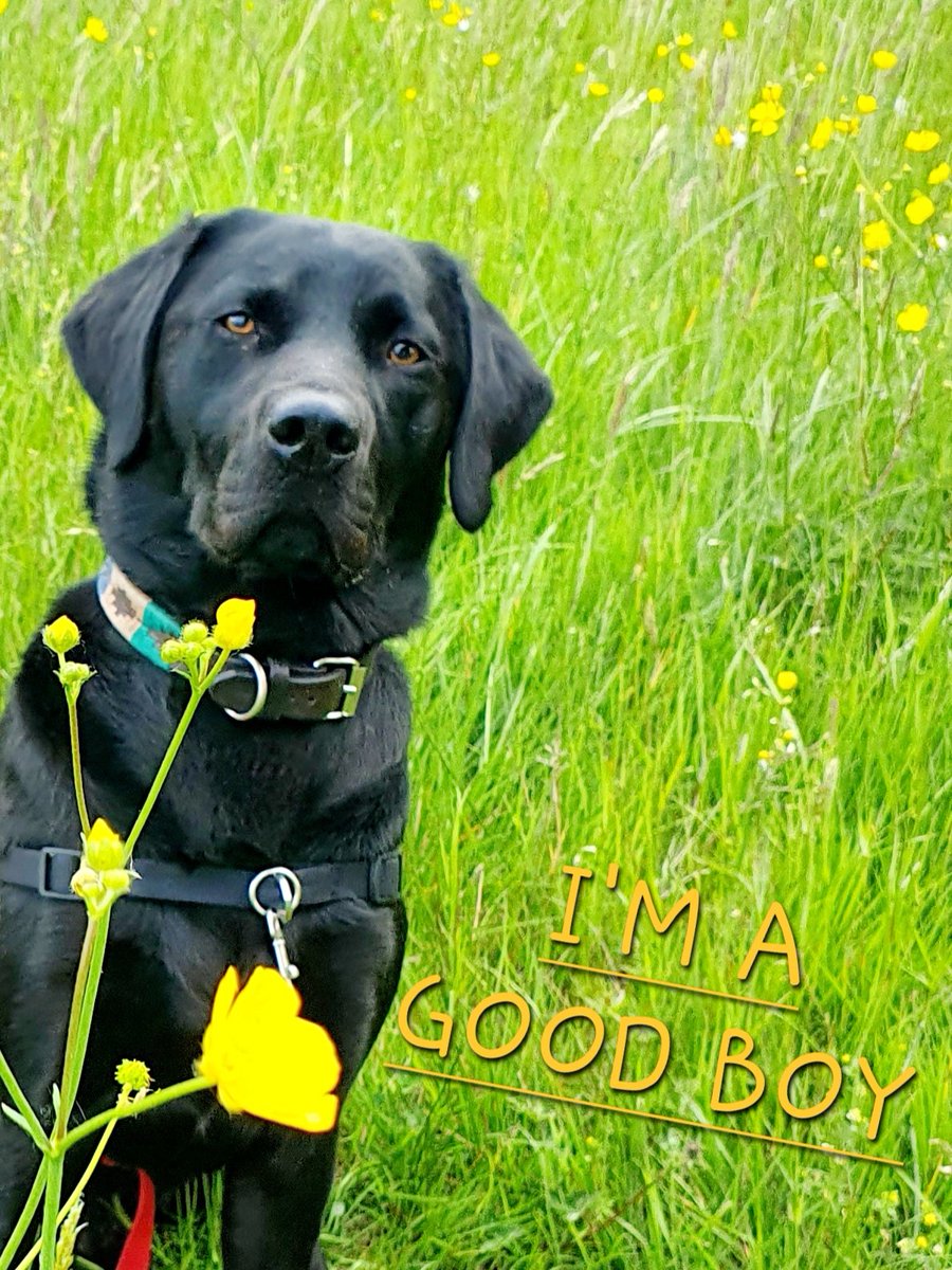 Glenn Bauer tweet media