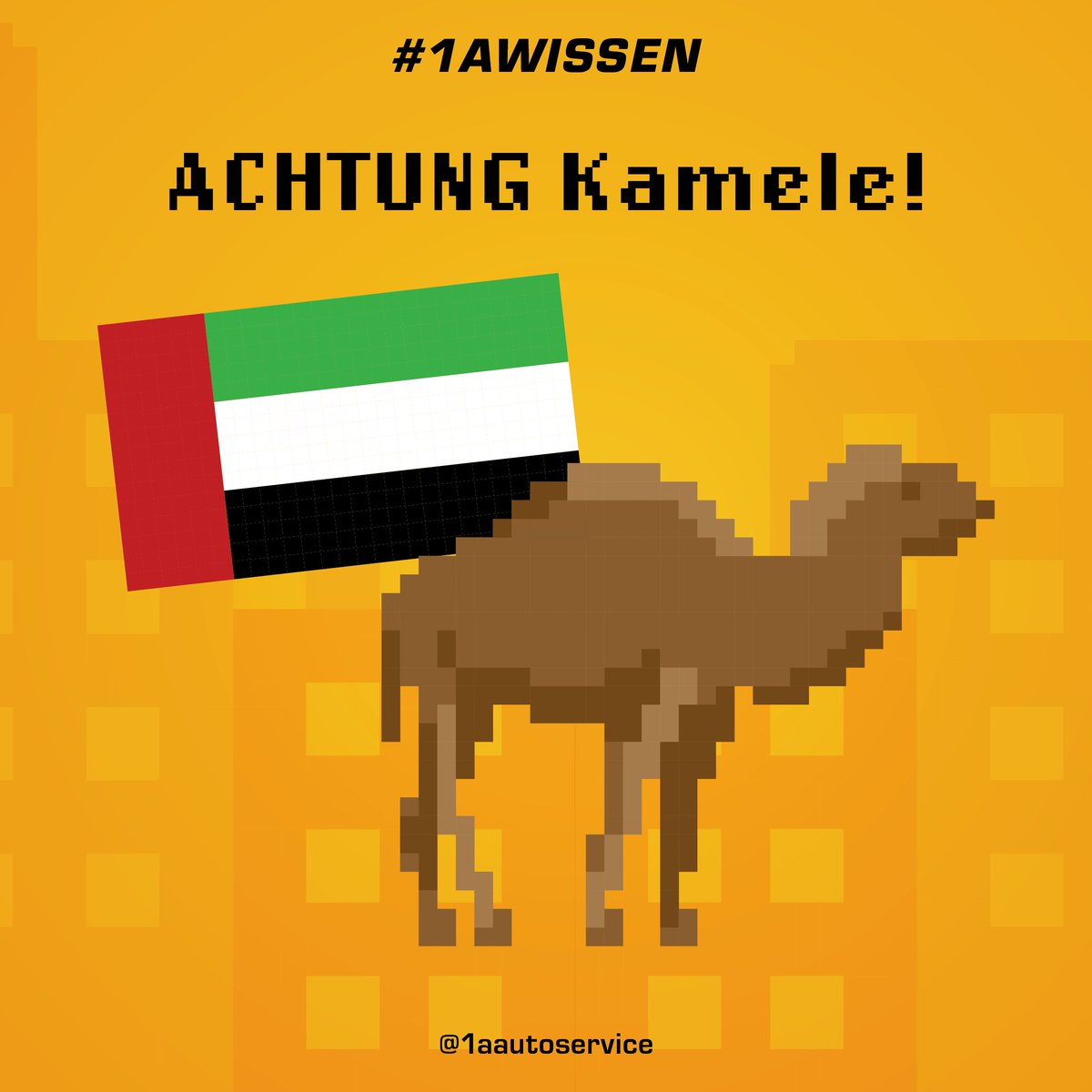 1aautoservice's tweet photo. #Führerschein -Wissen aus aller Welt: Heute aus den Vereinigten Arabischen Emiraten. 
Außerdem gibt es ein Gewinnspiel: Macht mit bei unserem Führerschein-Test. 2.000 Euro gibt es zu gewinnen 🤑 https://t.co/omrr90isfX