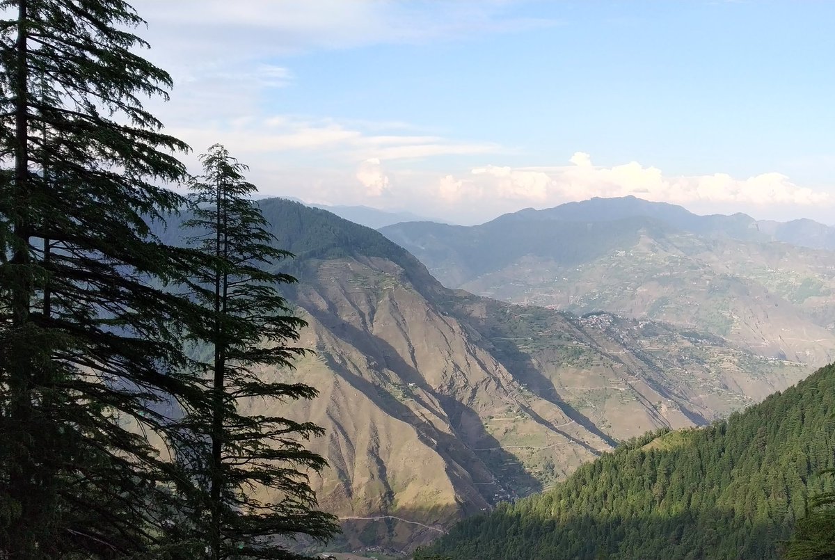 ashish_nanta's tweet photo. This life is yours. Save our forest !
.
.
.
#adventure #animallover #beautiful #beauty #cedar #camping #cedartrees #churdhar #pollutionfree #shimla https://t.co/wUd9bzQdFZ