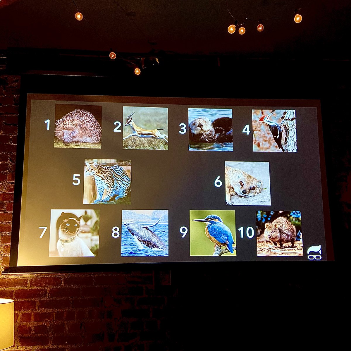 Solid State tweet media