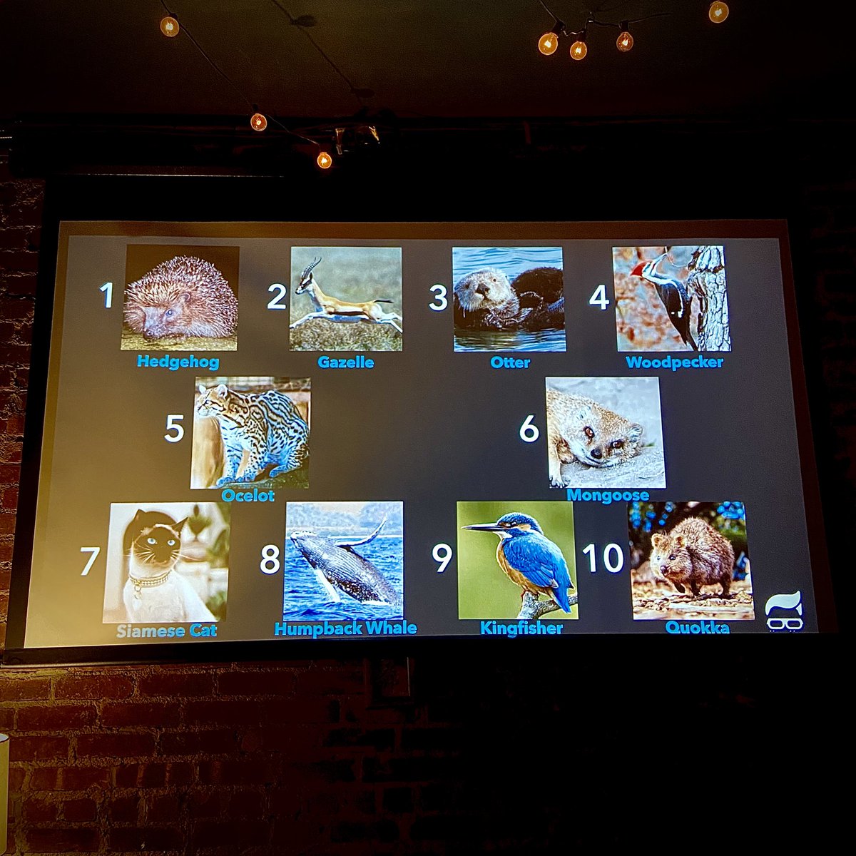 Solid State tweet media