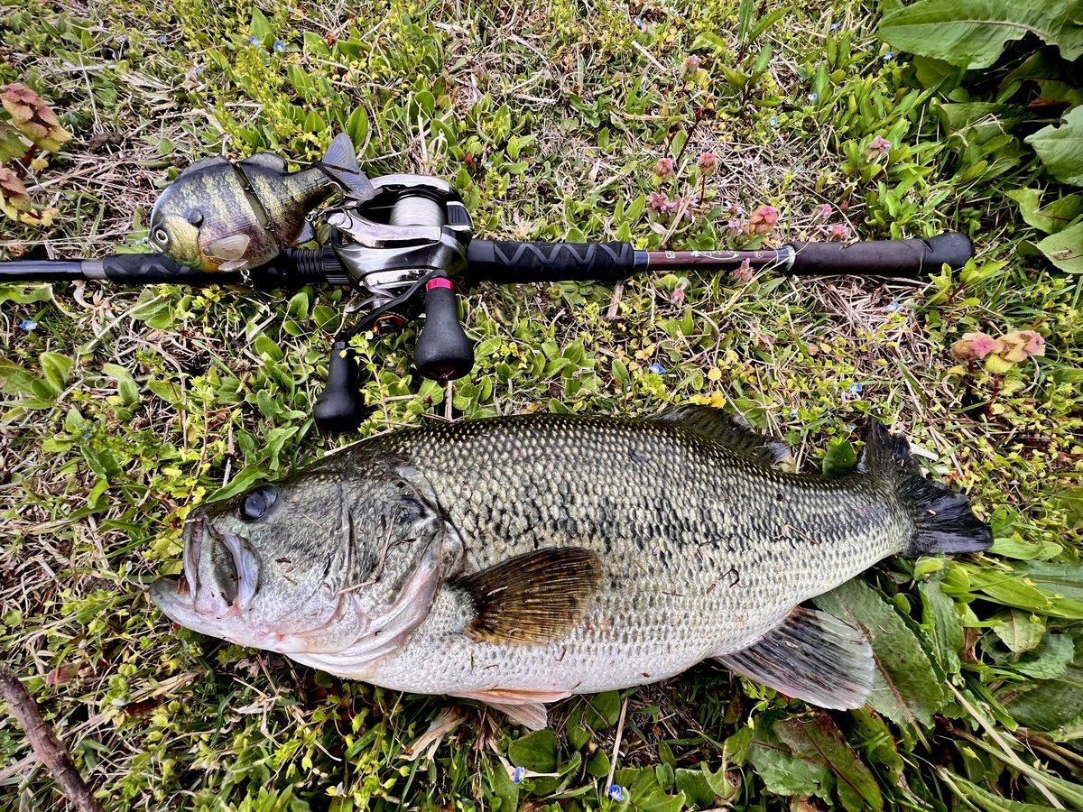 bsp_fp's tweet photo. 久しぶりの釣り🐟 https://t.co/vzjivC4lFS
