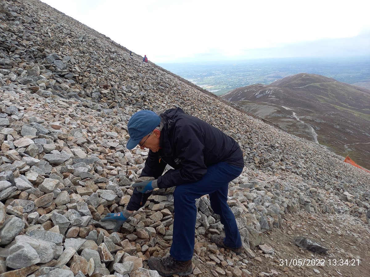 Mountaineering IRL tweet media