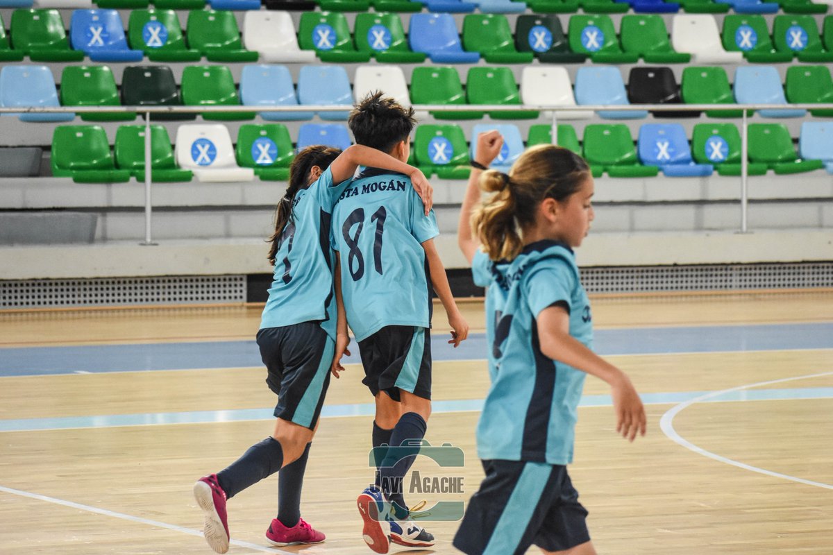javi_agache's tweet photo. 📸Imágenes del Campeonato de Canarias Benjamín y Alevín con Bugedo, La Salle, Chinguaro y Costa Mogán
Ver al completo ➡️ https://t.co/BBmFUNRfcN
.
.
#Futsal ⚽ #FutsalLife ❤️ #FútbolSala #CostaMogan #Chinguaro #Bugedo #LaSalle https://t.co/0d2GAcOb5r