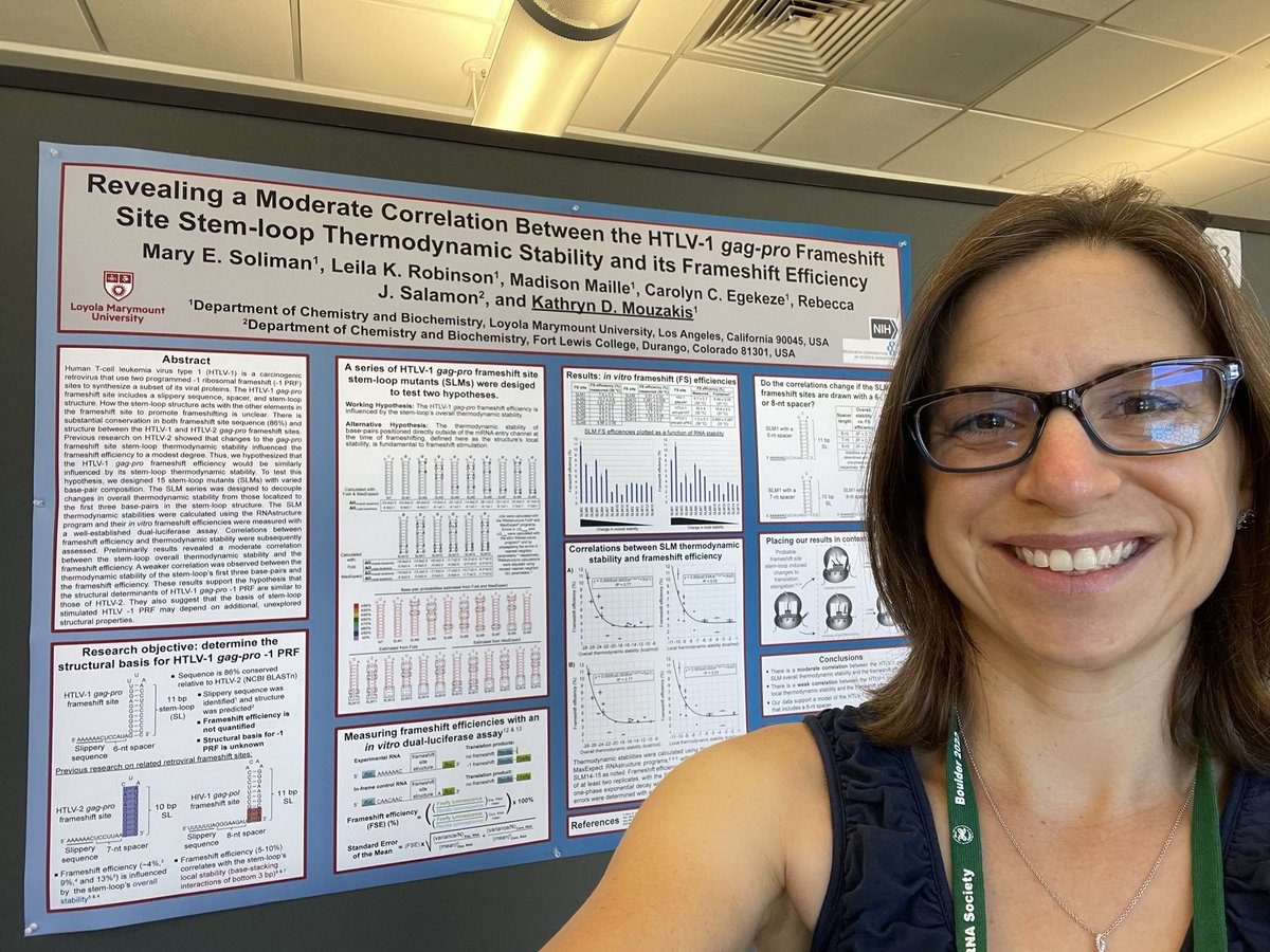 If you are at @RNASociety #RNA22 and want to see some awesome research produced from my ALL undergraduate student research team at @LoyolaMarymount (work started at @FLCDurango), stop by PS-372 Thursday from 8:30-11:00 pm so I can tell you about our research!