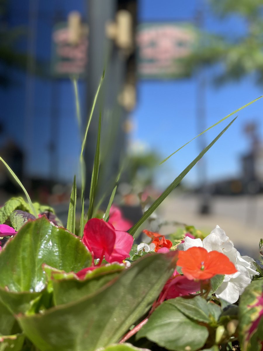 Gale Street Inn - Chicago tweet media