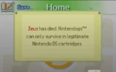 frozenaesthetic's tweet photo. Nintendo will kill your pets if you try to pirate their games https://t.co/zos4U7frpZ