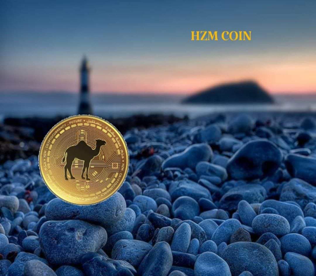 sjadnym16's tweet photo. @malarab1 @cz_binance @HZMCoin https://t.co/6LjMGEa8UL