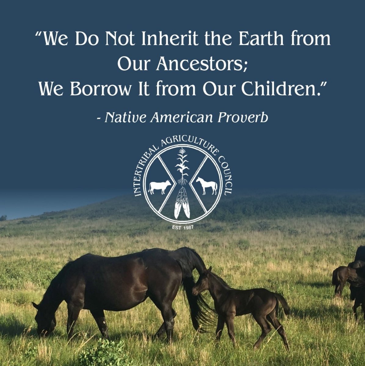 “We do not inherit the Earth from our ancestors; We borrow it from our children.” - Native American Proverb

What kind of world do you want to return to your children? What can you do today to foster that vision and turn it into a reality?

📷: <a href="/IACupdate/">Intertribal Agriculture Council (IAC)</a>

#intertribalagcouncil