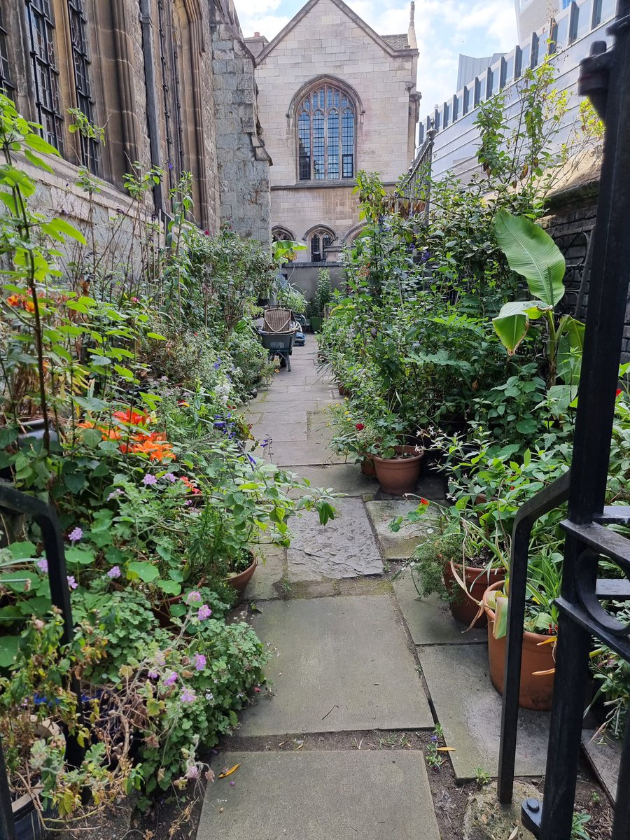 Nic’s Secret Garden and Plant Rescue Nursery tweet media