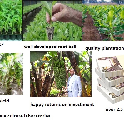 Kitil Farm tweet media