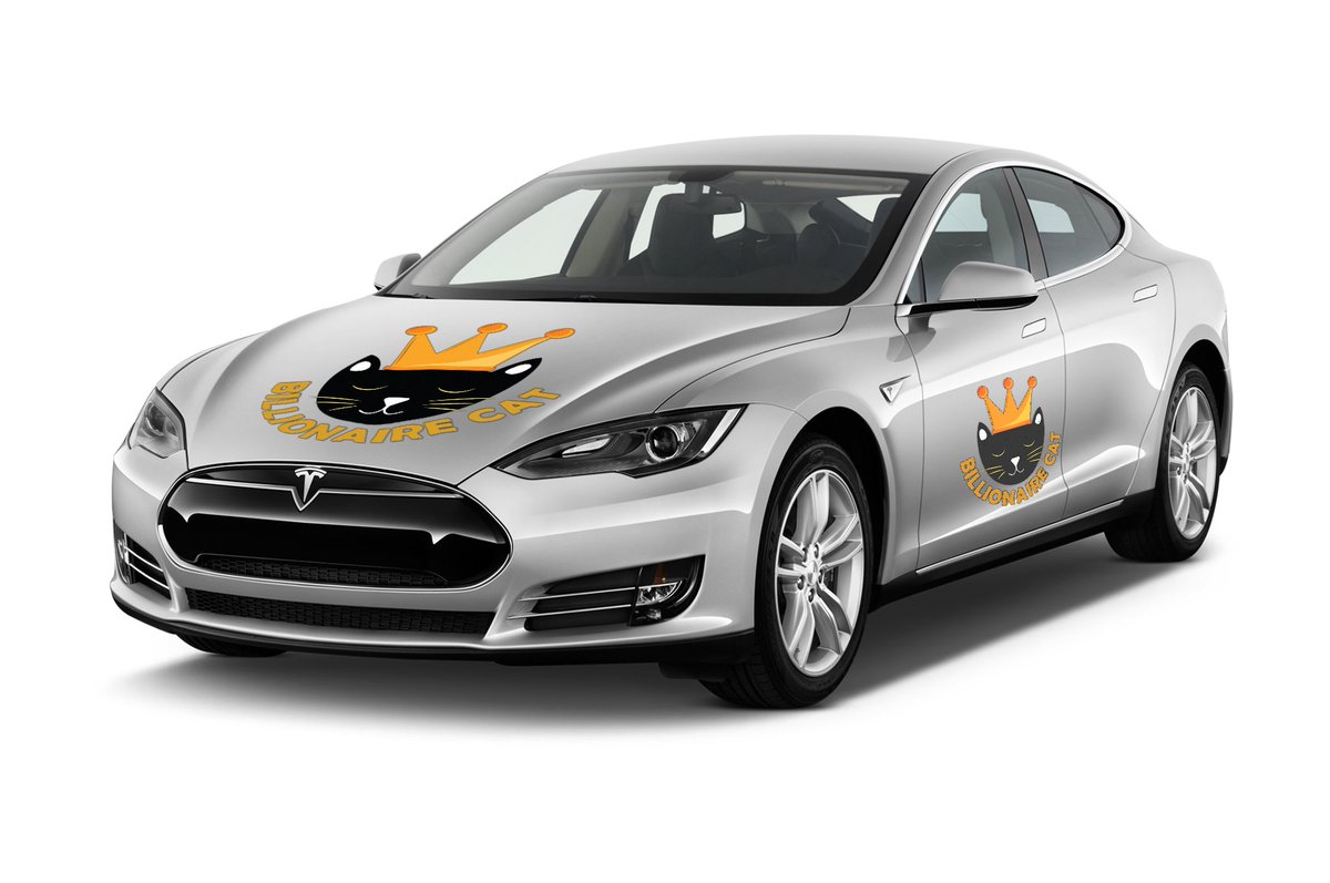 Billionaire Cat tweet media