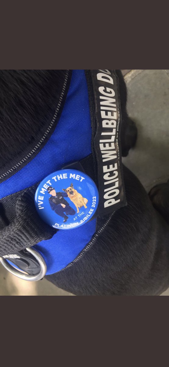 The sun is shining, thousands are celebrating the #QueensJubilee 🇬🇧 and my dog and I have been made into a badge given out by the wonderful @PD_DexterWBDOG and his Dad today at the #TroopingTheColour 

I’m chuffed to bits 😊 🇬🇧 👑 #ProudToBeBritish