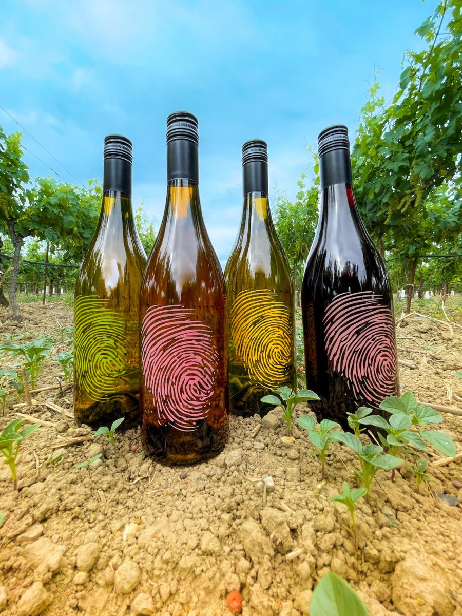 ☀️🌴Need something to help you Chill Out? 😊🌴 2021 Chilled Wines are here for you to enjoy.🌴🎉☀️ If you’ve tried any of these refreshing wines, what have you paired it with? Sharing is caring. Drop your favorite pairings below ⬇️ 2021: Chardonnay, Rosé, Grenache Blan