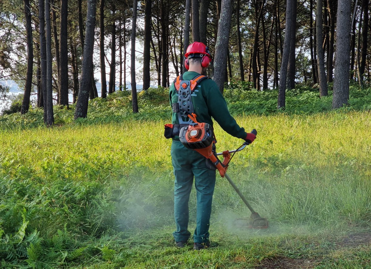 ConcelloBoiro's tweet photo. 👉🏼 A Xunta de Goberno Local do Concello de Boiro na sesión celebrada este mércores aprobou as bases reguladoras de incentivos á contratación para facilitar a empregabilidade das persoas participantes no Obradoiro de Emprego en xestión forestal Torre Goiáns – Boiro. https://t.co/7HpPLH9SCk