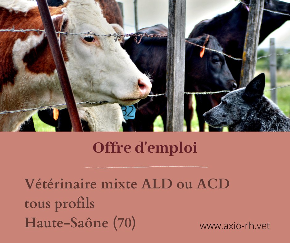 RhAxio's tweet image. [𝐍𝐨𝐮𝐯𝐞𝐚𝐮 𝐫𝐞𝐜𝐫𝐮𝐭𝐞𝐦𝐞𝐧𝐭 - 𝐇𝐚𝐮𝐭𝐞-𝐒𝐚𝐨̂𝐧𝐞 (𝟕𝟎) !! ]  
Une belle clinique recherche un(e) vétérinaire mixte, tous profils.
 Idéalement en ALD ou en ACD, temps plein ou partiel. 
Retrouvez l'annonce juste ici : bit.ly/3ETBXtZ
A très vite !