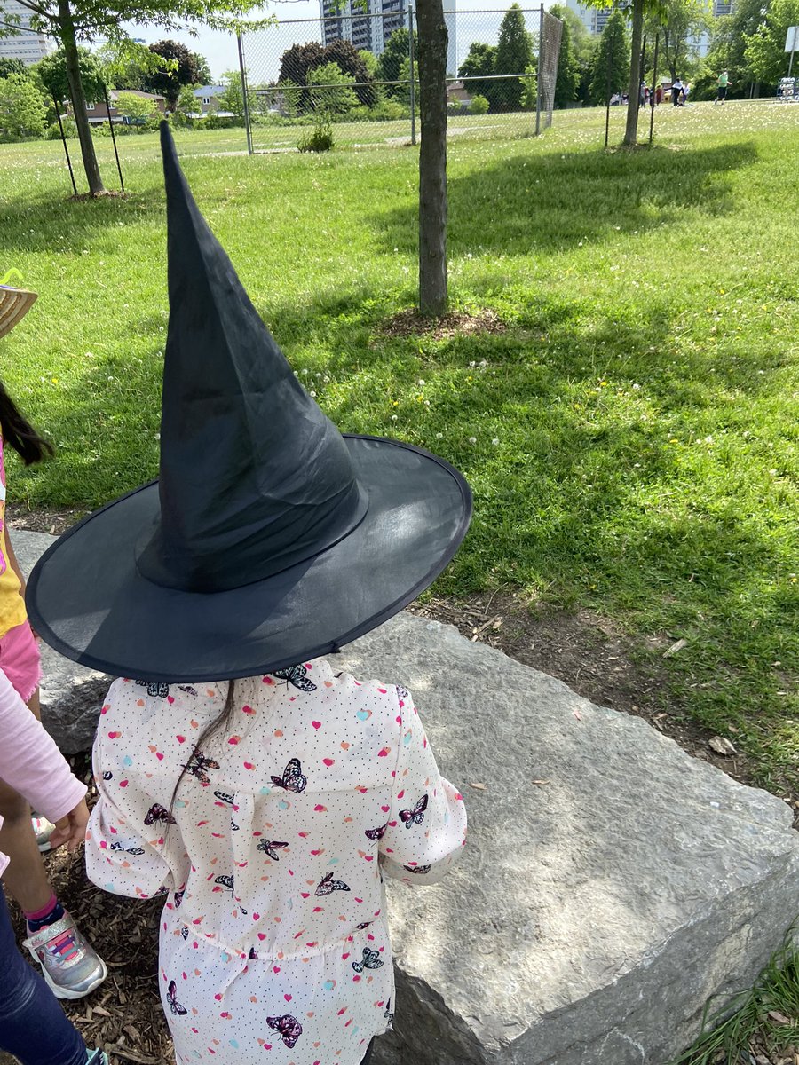 Bellmere Junior PS tweet media