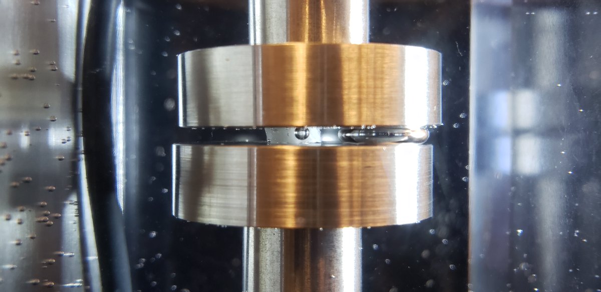 imed_lab's tweet photo. 3D printing PCL/HAp on BioX
Compression testing PCL/HAp in a fluid to mimic in vivo conditions 

#3Dprinting #BioX https://t.co/Fg9O5q7Sli