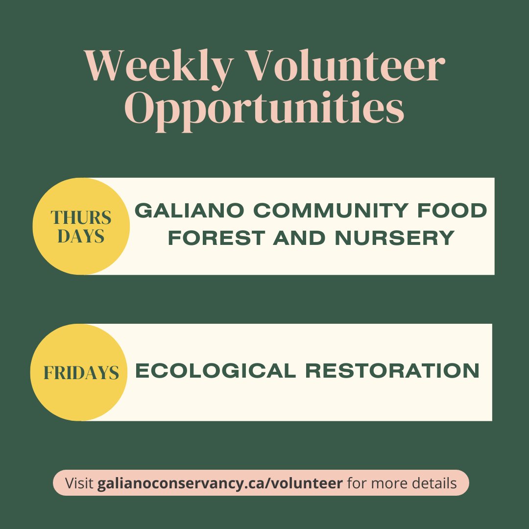 #Volunteer with us every Thursday and Friday!
Visit galianoconservancy.ca/volunteer/ to learn more about our volunteering opportunities 🧤