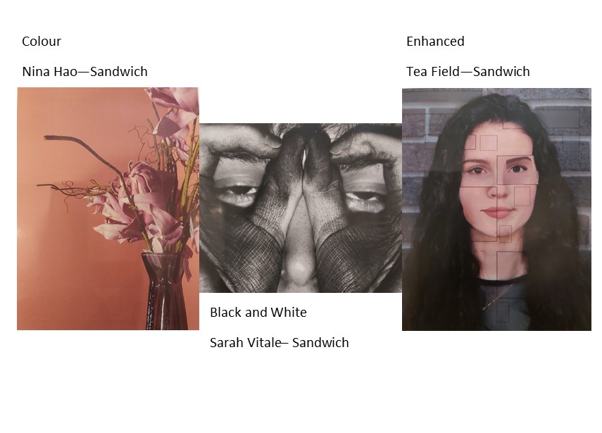 Student Pix best in show winners! Congratulations to all of our entrants and category winners! Come in and see for yourself!  #art #gallery #photos