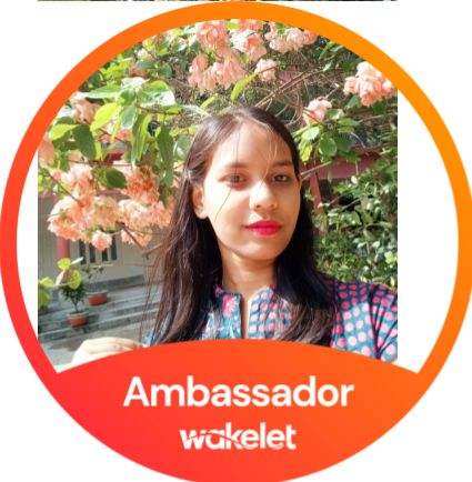 MunaMaisha's tweet photo. So excited to be part of the newest #wakeletwave of 
@wakelet
 Ambassadors! https://t.co/cozzQLaIV0