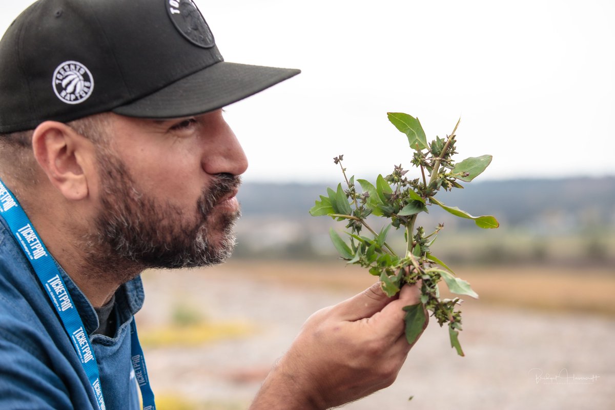 devourfest's tweet photo. We are 4 months away from Devour! 2022 “The Future of Food – Plant Based Cinema &amp; Cuisine”. This year’s theme will highlight the natural riches our region has to offer and inspire our guests with a diverse festival program. We can’t wait! 

#DevourFest #Devour2022 #FoodFestival https://t.co/tgoBssv5UY