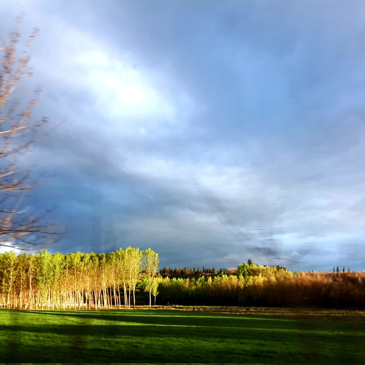 isabelarc's tweet image. #NuevaFotoDePerfil