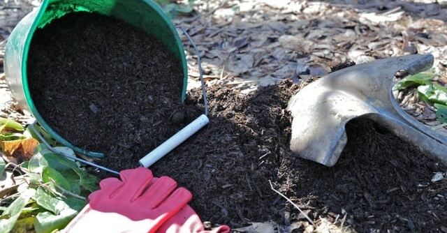 how mulch works (and how to use it), with bill fonteno awaytogarden.com/how-mulch-work…