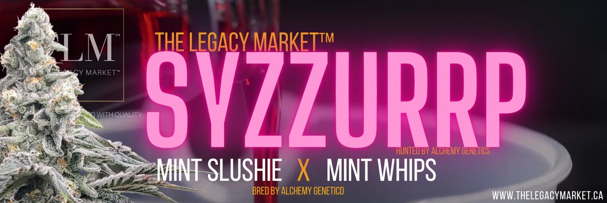 TLM™ Syzzurrp (Mint Slushie X Mint Whips) bred by Alchemy Genetics grown exclusively by TLM™'s collaborating Licenced Producers across Canada. 😤

Bred By Culture. Crafted With Quality.

THELEGACYMARKET.CA