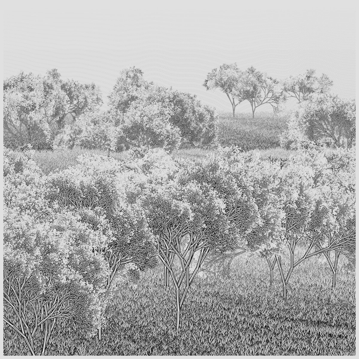 An update on the terrain sure takes forever to load though Haha. going to have to work on that!😅

#Tezumie #tezos #tez #fxhash #generativeart #genart #genartclub #p5js 
<a href="/fx_hash_/">fxhash</a>