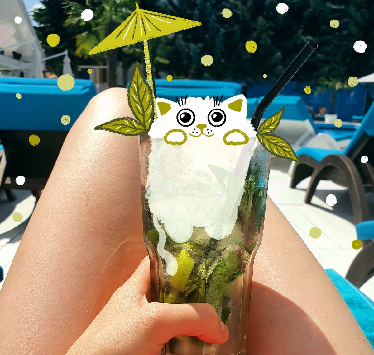 Breaking news: for those of you sitting with your laptop in a dark room all day, I want to let you know: Summer is here!
Go outside, take a walk, go to the beach, and enjoy some sun! 
Swimming in a pool today felt awesome and my cat loved that cocktail!
#WomenInCrypto #Summer2022