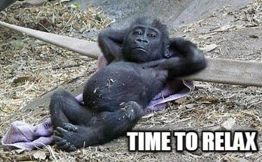 CarooStocks's tweet photo. When you have to update your work computer and it takes 20 mins in the middle of the day https://t.co/7NiccZqOX3