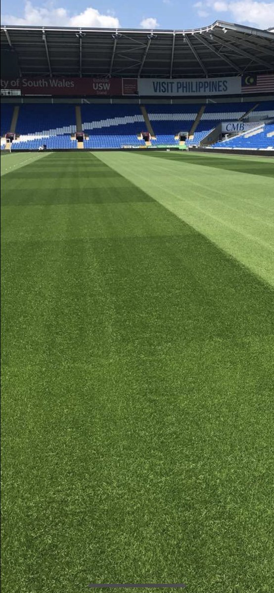 Getting ready for the big one on Sunday ⚽️🏴󠁧󠁢󠁷󠁬󠁳󠁿.. Liquid feed just gone on <a href="/Rawlings02/">nick rawlings</a>. She will be shining for Sunday 🏴󠁧󠁢󠁷󠁬󠁳󠁿 💪🏻