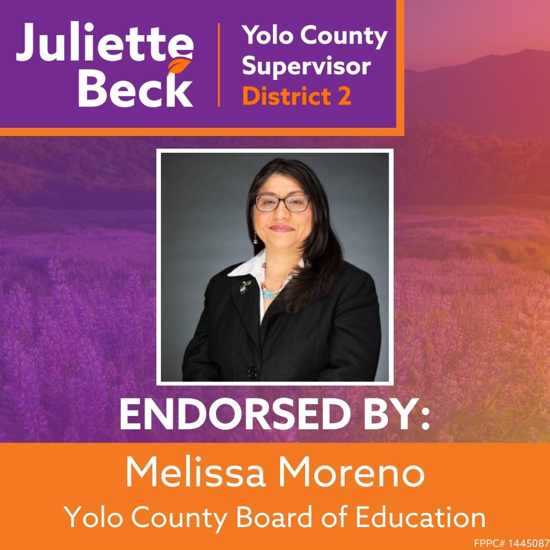 "It's time for a fearless woman candidate, like Beck, on the Board of Supervisors ready to brilliantly contribute." 
#eleckbeck #davis #June7 #yardsign #womenvoters #yourvotematters #leagueofwomenvoters #candidate #forum #dailydemocrat #goodreads #volunteer #canvass  #endorsement